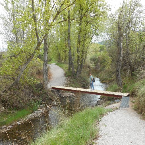 Corredor verde del Aranda