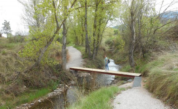 Corredor verde del Aranda