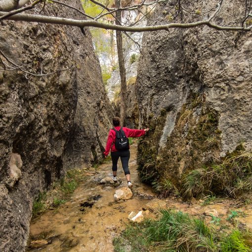 Paraje los baños Dos Torres Mercader